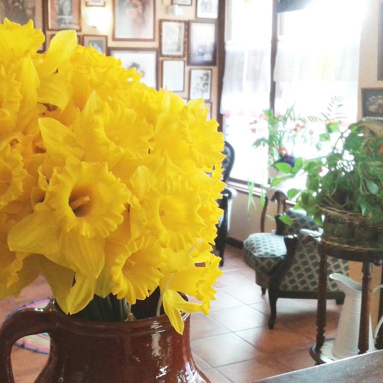 Hostal Santa Agueda タラソナ エクステリア 写真